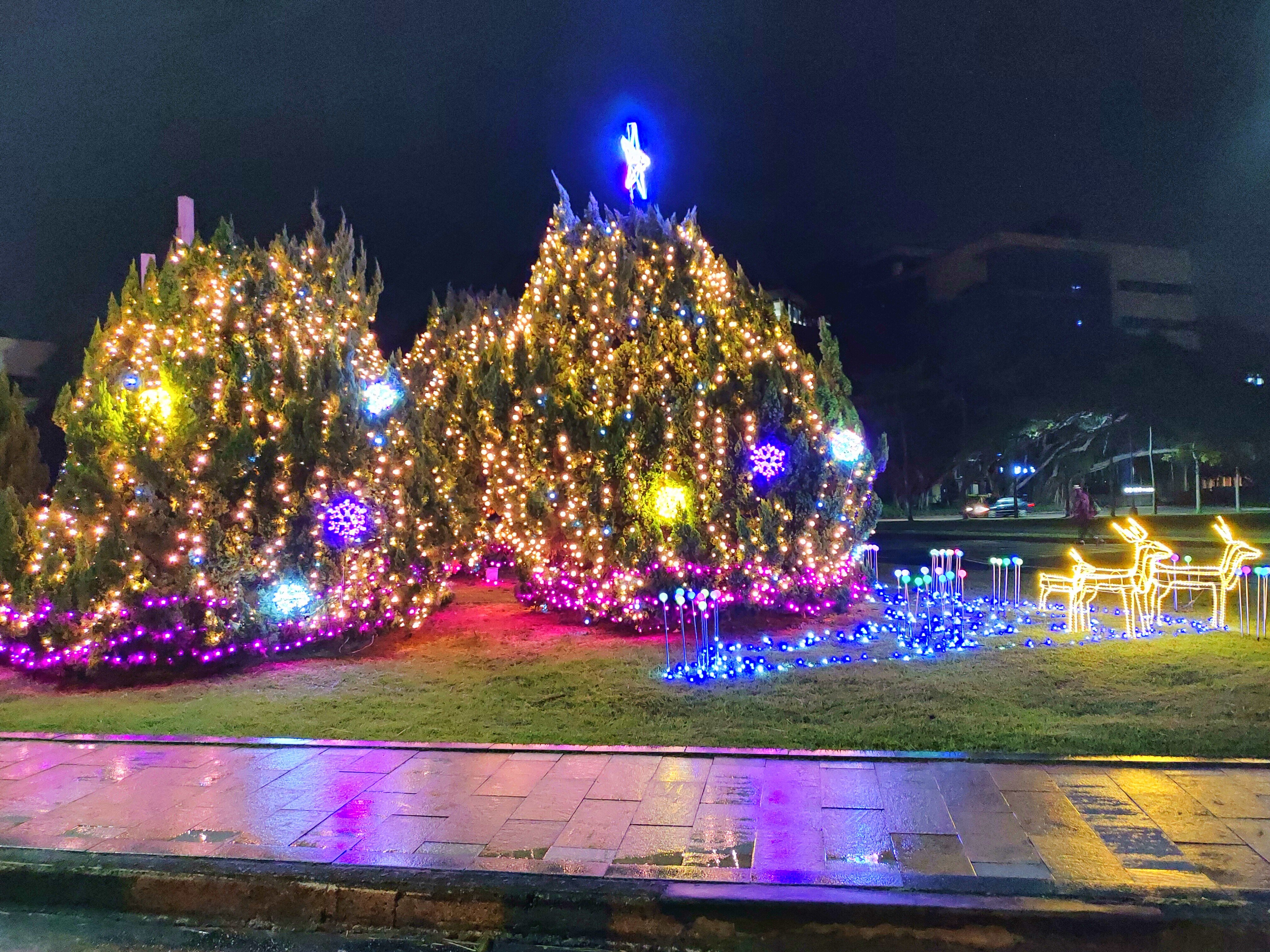 清華大學2021